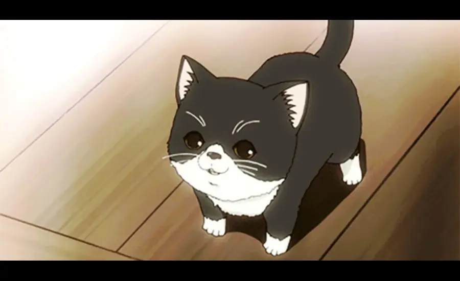 Anime:doqj3fxnevs= cat