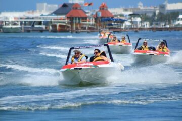 3 Unique Boat Tours for Adventure Seekers