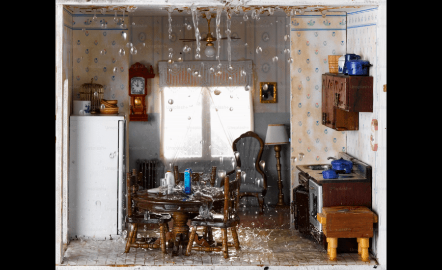 Protecting Your Home Comprehensive Strategies for Water Damage and Plumbing Emergencies