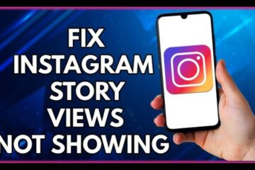 Top 8 Instagram Story Viewer Sites in 2024 Your Ultimate Guide