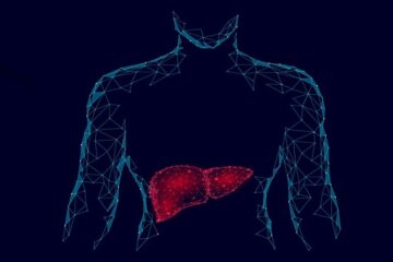 Caring For Your Body’s Superhero The Liver