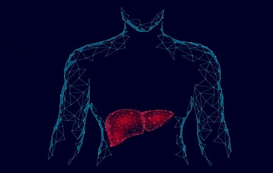 Caring For Your Body’s Superhero The Liver