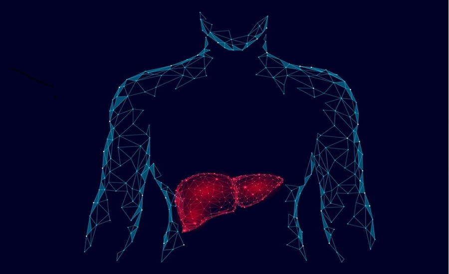 Caring For Your Body’s Superhero The Liver