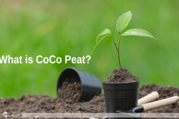 Coco Peat Benefits Compared to Traditional Soil