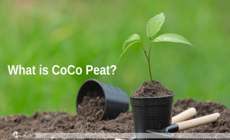 Coco Peat Benefits Compared to Traditional Soil