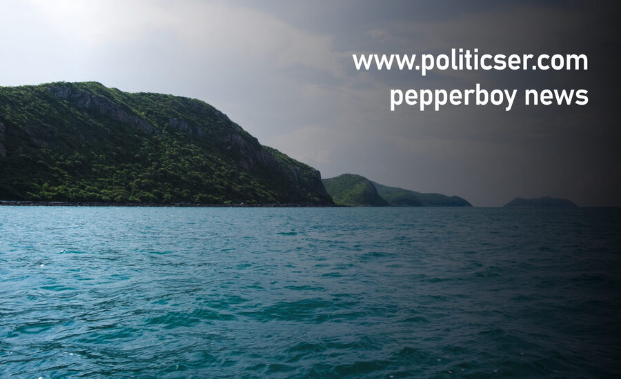 Discover Politics with Www.Politicser.Com Pepperboy News