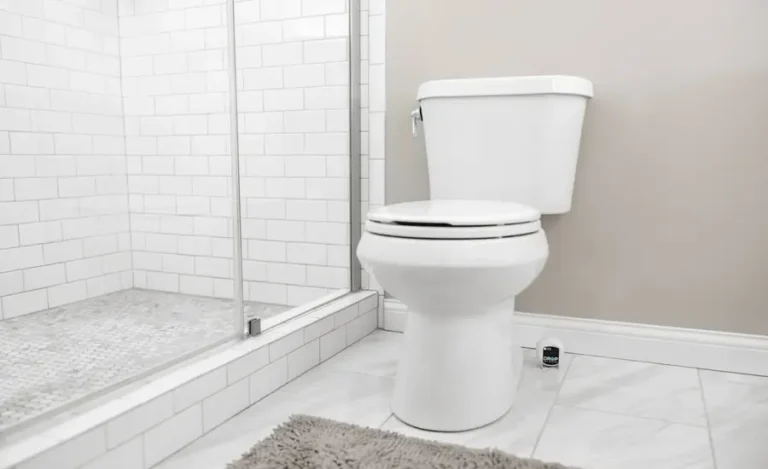 Essential Tips for Preserving Your Indoor Plumbing