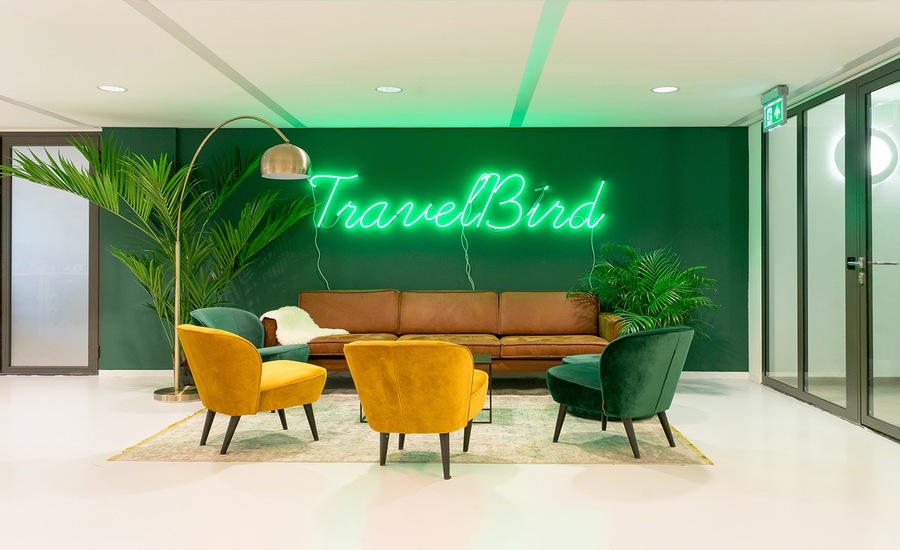 Green Neon Signs for Creating a Bold Decor Statement