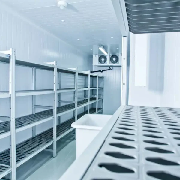 The Importance of Walk-In Refrigerators and Walk-In Freezers for Commercial Establishments