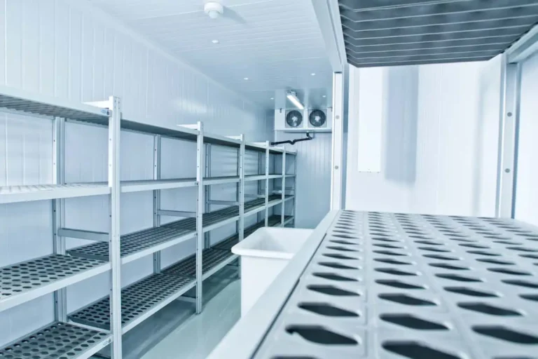 The Importance of Walk-In Refrigerators and Walk-In Freezers for Commercial Establishments