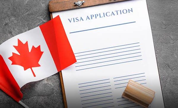 Assistance Of Consultancy For Enterprises Immigration To Canada 