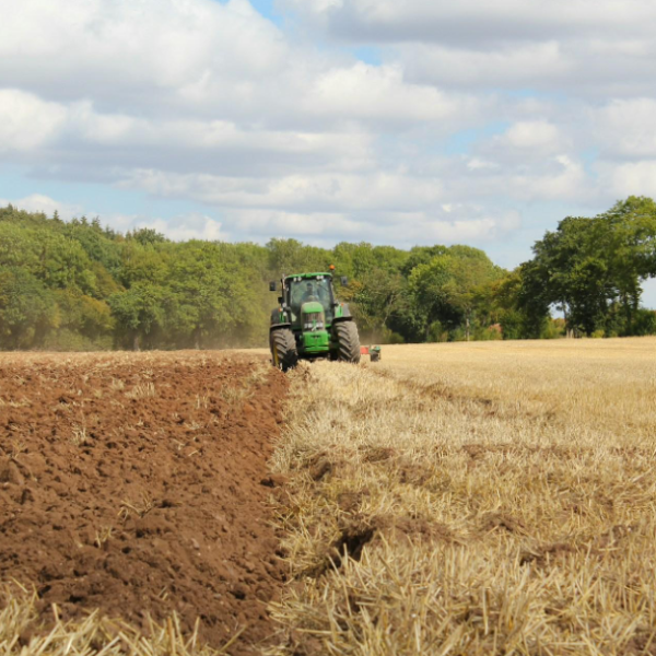 Common Challenges and Solutions for Farm Mulchers