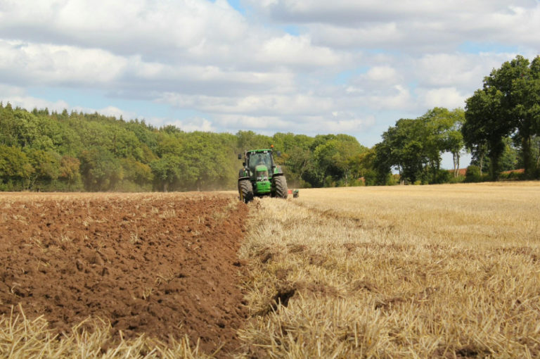 Common Challenges and Solutions for Farm Mulchers