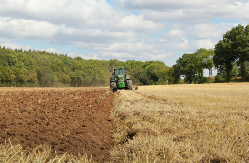 Common Challenges and Solutions for Farm Mulchers