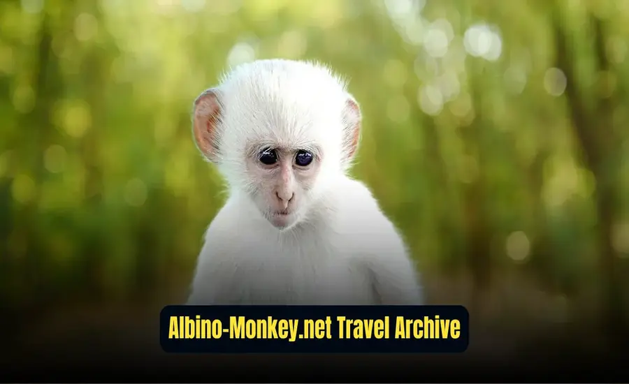 Ultimate Guide to Albino-Monkey.net Travel Archives